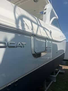 2019 World Cat 320 DC "Reel Calling" photo 3