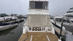 2009 Silverton 52 Ovation "Knotty Dogs" photo 5