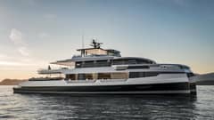 2028 Kingship King Cat "Kingship" photo 1