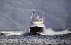 2006 Bertram Sport Fish "Bouki" photo 5