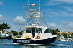 2017 Viking 52 Sport Tower "BUZZY" photo 6