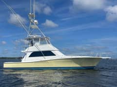 1998 Viking 50 Convertible "Southern Accent" photo 1