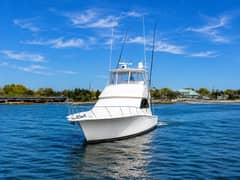 2005 Viking 45 Convertible "Clean Livin'" photo 2