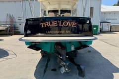 2009 MJM 29z "True Love" photo 3