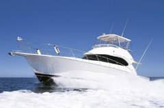 2008 Riviera 42 Flybridge photo 3