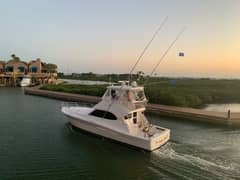 2008 Riviera 42 Flybridge photo 5