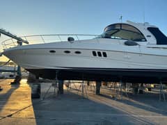 2009 Sea Ray 52 SUNDANCER photo 2