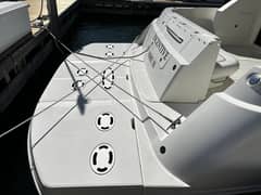 2008 Sea Ray 47 SEDAN BRIDGE photo 8