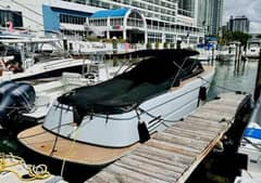 2018 Canard eMotion HYBRID "eMotion/HYBRID" photo 4