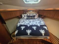 2008 Tiara Yachts 4300 Sovran photo 5