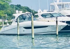 2017 Sea Ray Sundancer 370 "Reely Ours" photo 1