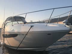 2017 Sea Ray Sundancer 370 "Reely Ours" photo 5