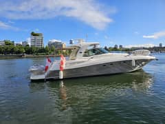 2005 Sea Ray photo 3