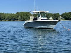 2024 Boston Whaler 250 Outrage "That's Amore" photo 3