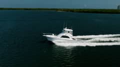 1991 Jersey 42 Convertible Sportfisherman "Denise Catherine" photo 7