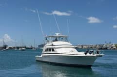 1995 Bertram 60 Convertible "Taniamar" photo 5