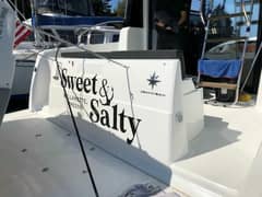 2019 Jeanneau Velasco "Sweet & Salty" photo 8