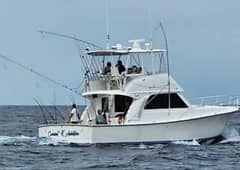 2006 Henriques 42 Convertible "Current Addition" photo 1