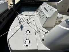 2008 Sea Ray 47 SEDAN BRIDGE photo 8