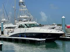 2010 Sea Ray 450 Sundancer photo 1