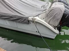 2019 Invincible 40 Catamaran photo 5