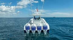 2023 Yellowfin Offshore photo 5