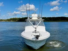 1973 Custom Carolina 27 National "Rare Breed" photo 2