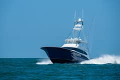 2021 Jarrett Bay "REEL DEVELOPMENT" photo 3