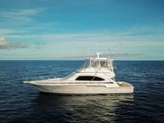 2006 Bertram 510 Convertible "Pecado" photo 3