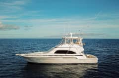 2006 Bertram 510 Convertible "Pecado" photo 1