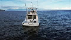 2006 Bertram 510 Convertible "Pecado" photo 8