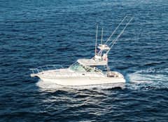 2005 Cabo 40 Hardtop Express "Jurate" photo 6