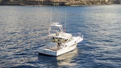 2005 Cabo 40 Hardtop Express "Jurate" photo 5