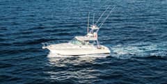2005 Cabo 40 Hardtop Express "Jurate" photo 2