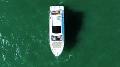 2019 Sea Ray 520 Sundancer "REFLECTION" photo 8