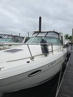 2003 Sea Ray 290 Amberjack photo 6