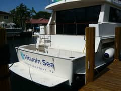 1990 Viking Cockpit Motor Yacht "VITAMIN SEA" photo 4