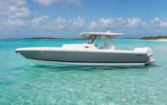 2020 Intrepid 407 Panacea photo 1