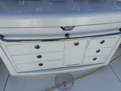 2016 Boston Whaler photo 9