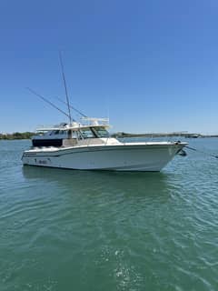 2014 Grady-White Canyon 376 "Sir-Reel" photo 4