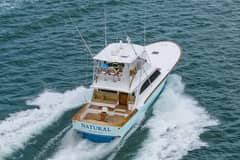 1993 Scarborough 56 Custom Carolina Sportfish "Natural" photo 6
