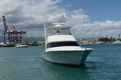 2012 Viking 50 Convertible "Sandy" photo 4