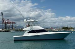 2012 Viking 50 Convertible "Sandy" photo 1