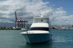 2012 Viking 50 Convertible "Sandy" photo 6