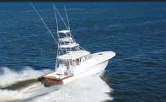 2006 Custom Carolina Express photo 1
