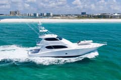2008 Hatteras Convertible "La La's Six Chicks" photo 8