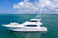 2008 Hatteras Convertible "La La's Six Chicks" photo 3