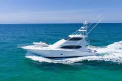 2008 Hatteras Convertible "La La's Six Chicks" photo 9