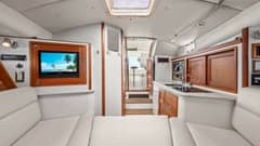 2008 MJM 29z "Camelot" photo 4