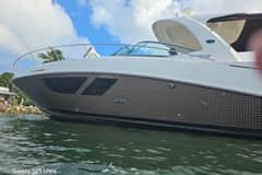 2010 Sea Ray 370 Sundancer photo 9